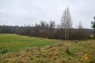nad rzeką Wel - 7