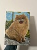 Ręcznie malowany portret – Szpic pomerański (Pomeranian) 18x - 12