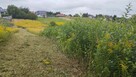 Koszenie trawy nieużytków, bijakowa, karczowanie, usługi ogr - 8