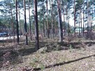 Działki Budowlane - leśne - 12