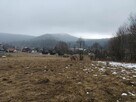 Działka na sprzedaż Cisna - 2