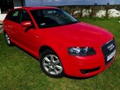 Audi a3 8p 1.6 MPI 102 KM LPG, Hak, 5 drzwi - 6