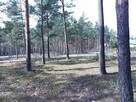 Działki Budowlane - leśne - 11