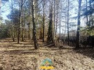 Działka budowlana Piskórka gm. Prażmów - 12