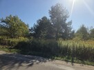 Działka budowlana Łoś gm. Prażmów - 5