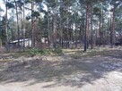 Działki Budowlane - leśne - 14