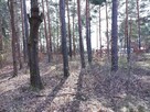 Działki Budowlane - leśne - 10