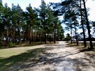 Działki Budowlane - leśne - 5