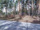 Działki Budowlane - leśne - 7