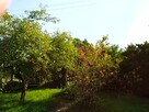 Sprzedam działkę ROD - 6