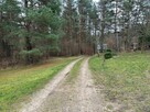 Syndyk sprzeda udział 6/324 w działkach zalesionych i drodze - 7