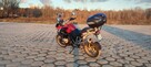 BMW R1200GS 2010/2011 po dużym serwisie - 10