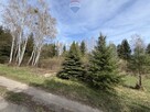 Działak 1289 m2 Ustanów Usługowo-budowlana MPZP - 4