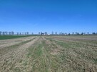 Działki rolne 5ha - Ostrów Lubelski\\\\Głębokie - 3