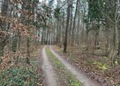 Syndyk sprzeda udział 6/324 w działkach zalesionych i drodze - 4