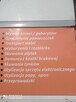 Rozbiórki Altanek działkowych- Opróżnianie demolki wewnatrz - 8