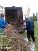Rozbiórki Altanek działkowych- Opróżnianie demolki wewnatrz - 12