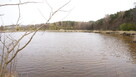 5,42 ha, Stawy rybne, las, Zemborzyce, Lublin - 3