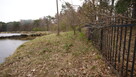 5,42 ha, Stawy rybne, las, Zemborzyce, Lublin - 4