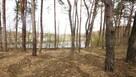 5,42 ha, Stawy rybne, las, Zemborzyce, Lublin - 5