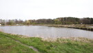 5,42 ha, Stawy rybne, las, Zemborzyce, Lublin - 9