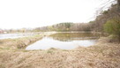 5,42 ha, Stawy rybne, las, Zemborzyce, Lublin - 10