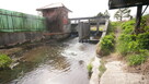5,42 ha, Stawy rybne, las, Zemborzyce, Lublin - 12