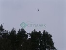 Działka rolna Bałupiany gm. Gołdap - 4