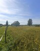 Mazurska sielanka z historią w tle – Działka -Warunki Zabudowy | Jezioro 1.8 km - 12