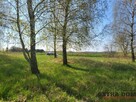 Duża działka z linią brzegową jeziora - 5