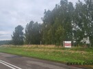 Duża działka z linią brzegową jeziora - 8