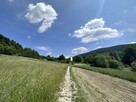 Działka rolna Kasina Wielka gm. Mszana Dolna - 9