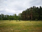 Działka budowlana Płazów gm. Narol - 5