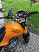 Motor Junak Zipp Toros 125 - 7