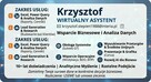 Wirtualny asystent / subiekt GT środki unijne przetargi