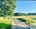 Działka budowlan 2640 m² – las, spokój, prywatność - 7