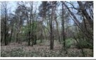 Syndyk sprzeda nieruchomość gruntową rolną (działka nr 406)