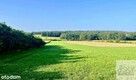 Działka budowlan 2640 m² – las, spokój, prywatność - 1