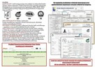 Śliczna koteczka z rodowodem PZF/WCF - Legalna hodowla - 12