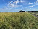 Działka budowlana w Browinie - 2 km od Chełmży - 3