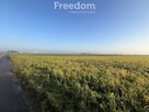 Działka budowlana w Browinie - 2 km od Chełmży - 7