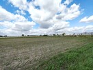 Działka inwestycyjna Opalenica, 5 Stycznia - 6