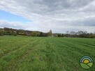 Bolechowice gm. Zabierzów - działka 3100 m2 bud.-rolna - 4