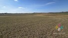 15 ha działki rolnej w gminie Mikołajki - 5