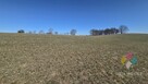 15 ha działki rolnej w gminie Mikołajki - 9