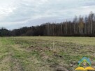 Działka Ławki - 3