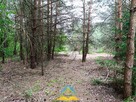 Działka rolna Krupia Wólka gm. Prażmów - 6