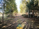 Działka budowlana Jaroszowa Wola gm. Prażmów - 3