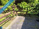 Działka ROD z przyczepą nad morzem. - 3