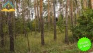 Działka budowlana Kopana gm. Tarczyn, Graniczna - 4